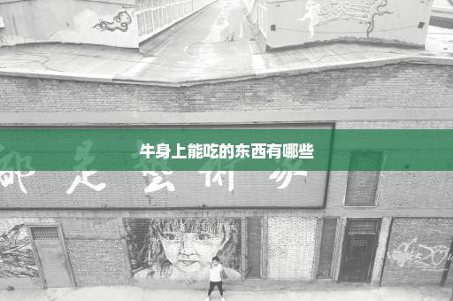 牛身上能吃的东西有哪些
