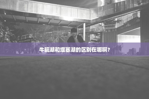 牛轭湖和堰塞湖的区别在哪啊？