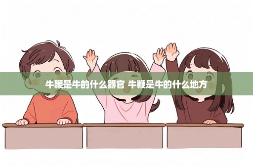 牛鞭是牛的什么器官 牛鞭是牛的什么地方