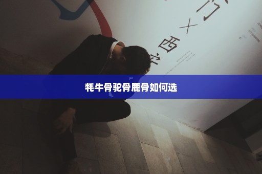 牦牛骨驼骨鹿骨如何选
