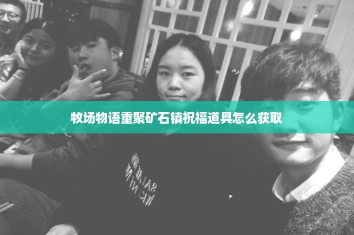 牧场物语重聚矿石镇祝福道具怎么获取