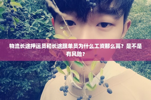 物流长途押运员和长途跟单员为什么工资那么高？是不是有风险？