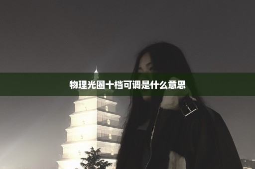 物理光圈十档可调是什么意思