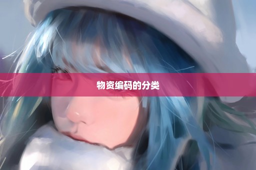 物资编码的分类