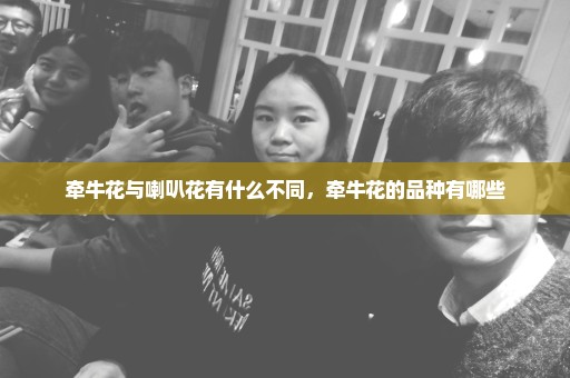 牵牛花与喇叭花有什么不同，牵牛花的品种有哪些