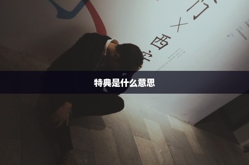 特典是什么意思