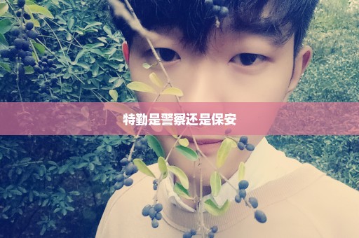 特勤是警察还是保安