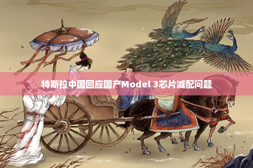 特斯拉中国回应国产Model 3芯片减配问题