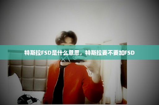 特斯拉FSD是什么意思，特斯拉要不要加FSD