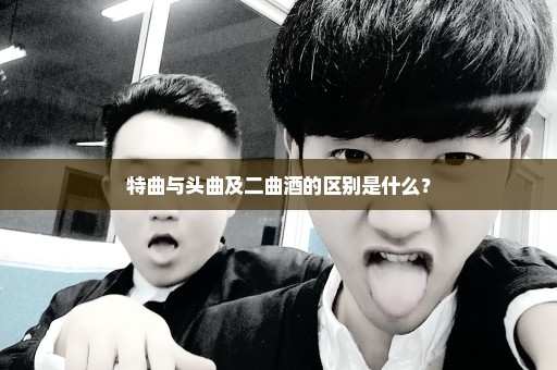 特曲与头曲及二曲酒的区别是什么？