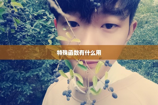 特殊函数有什么用