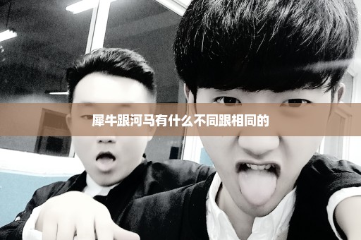 犀牛跟河马有什么不同跟相同的