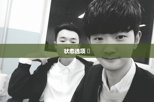 状态选项 ​