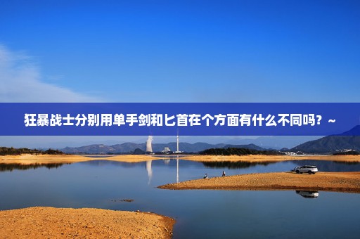 狂暴战士分别用单手剑和匕首在个方面有什么不同吗？~
