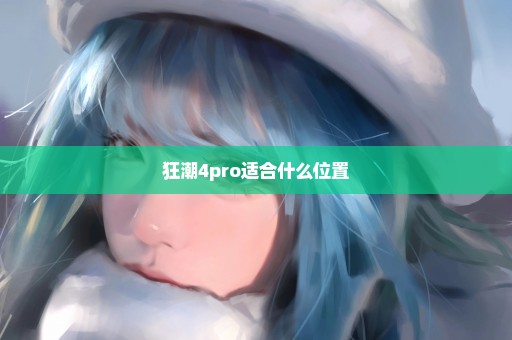 狂潮4pro适合什么位置