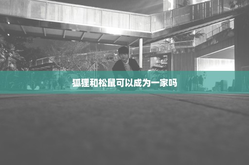 狐狸和松鼠可以成为一家吗