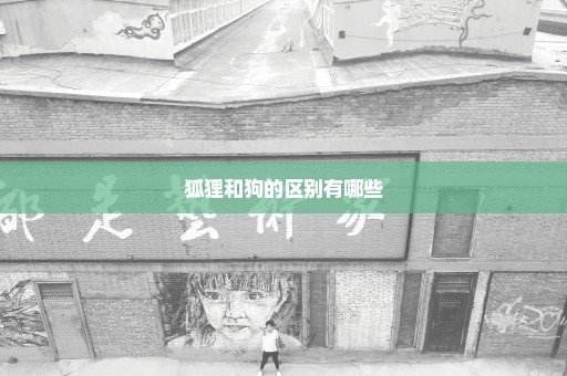 狐狸和狗的区别有哪些