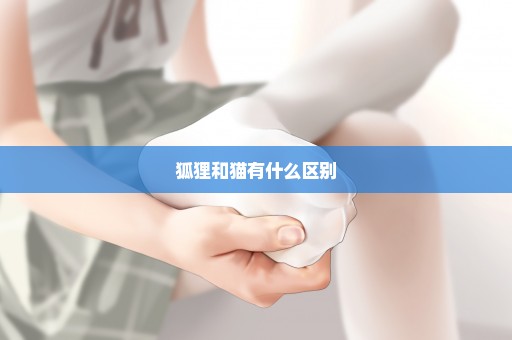 狐狸和猫有什么区别