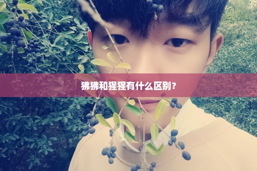 狒狒和猩猩有什么区别？