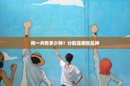 狗一共有多少种？分别是哪些品种