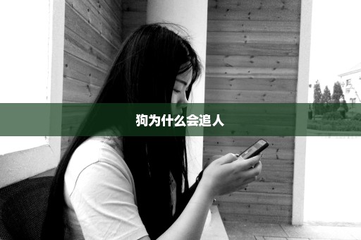 狗为什么会追人