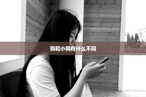 狗和小狗有什么不同