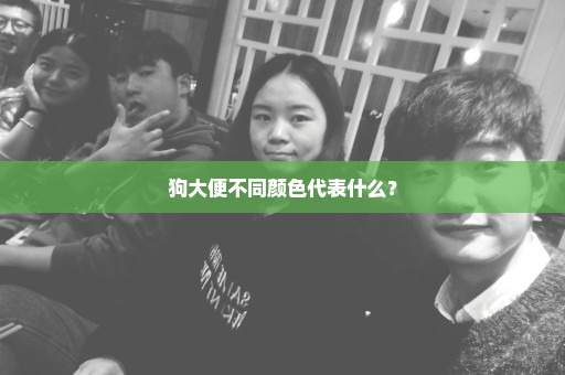 狗大便不同颜色代表什么？