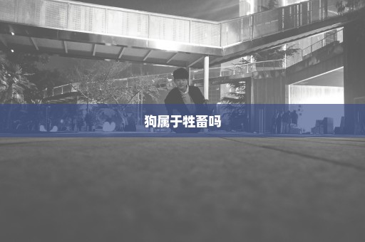 狗属于牲畜吗