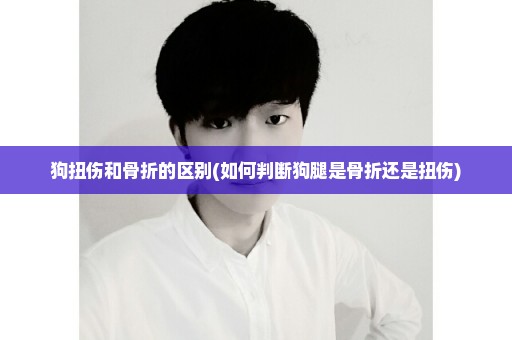 狗扭伤和骨折的区别(如何判断狗腿是骨折还是扭伤)
