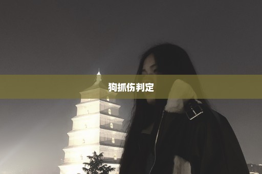狗抓伤判定