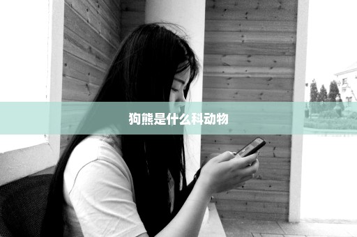 狗熊是什么科动物