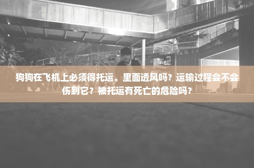狗狗在飞机上必须得托运。里面透风吗？运输过程会不会伤到它？被托运有死亡的危险吗？