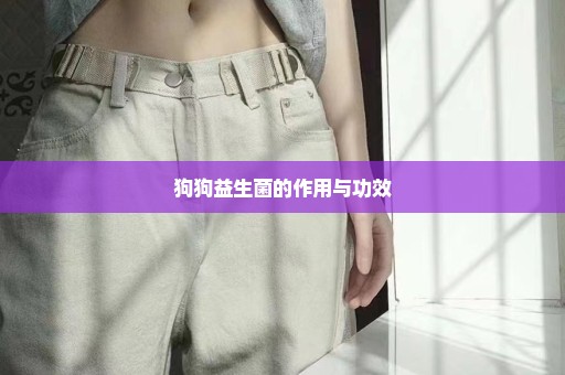 狗狗益生菌的作用与功效