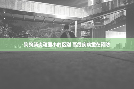 狗狗肠炎和细小的区别 高危疾病重在预防