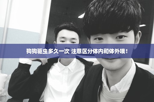 狗狗驱虫多久一次 注意区分体内和体外哦！