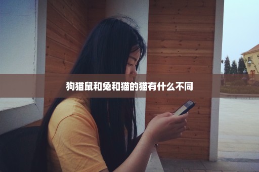 狗猫鼠和兔和猫的猫有什么不同