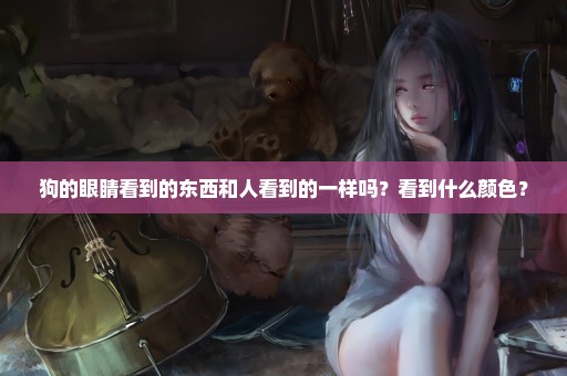 狗的眼睛看到的东西和人看到的一样吗？看到什么颜色？