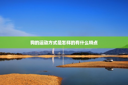 狗的运动方式是怎样的有什么特点