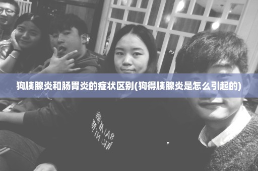 狗胰腺炎和肠胃炎的症状区别(狗得胰腺炎是怎么引起的)
