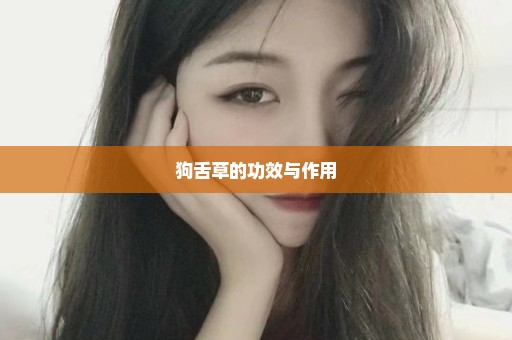 狗舌草的功效与作用