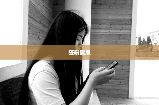 狡辩意思
