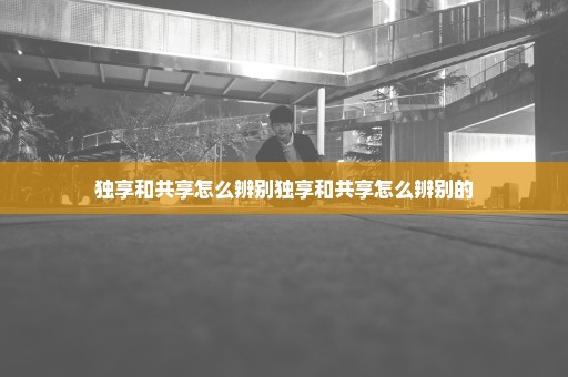 独享和共享怎么辨别独享和共享怎么辨别的