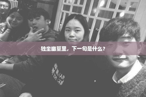 独坐幽篁里，下一句是什么？