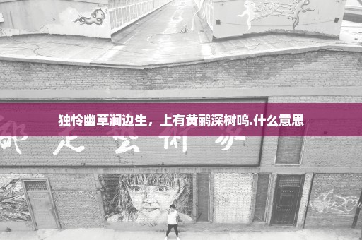 独怜幽草涧边生，上有黄鹂深树呜.什么意思