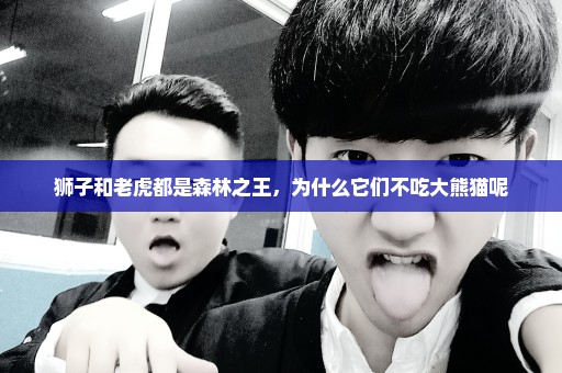 狮子和老虎都是森林之王，为什么它们不吃大熊猫呢