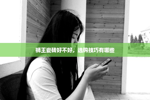 狮王瓷砖好不好，选购技巧有哪些