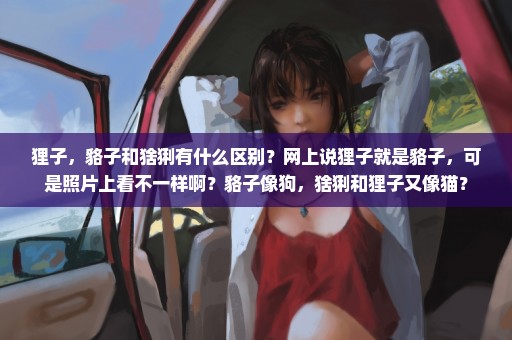 狸子，貉子和猞猁有什么区别？网上说狸子就是貉子，可是照片上看不一样啊？貉子像狗，猞猁和狸子又像猫？