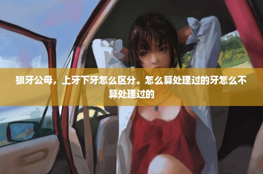 狼牙公母，上牙下牙怎么区分。怎么算处理过的牙怎么不算处理过的