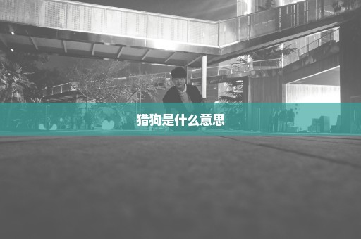猎狗是什么意思