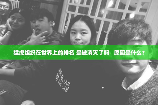 猛虎组织在世界上的排名 是被消灭了吗   原因是什么？